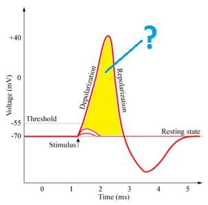 module 10 quiz Flashcards 